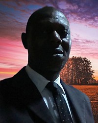 I.T. Chief Executive Officer